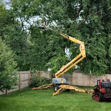 Best Aeration Services  in Sugar City, ID