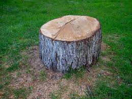 Professional Tree Services in Sugar City, ID
