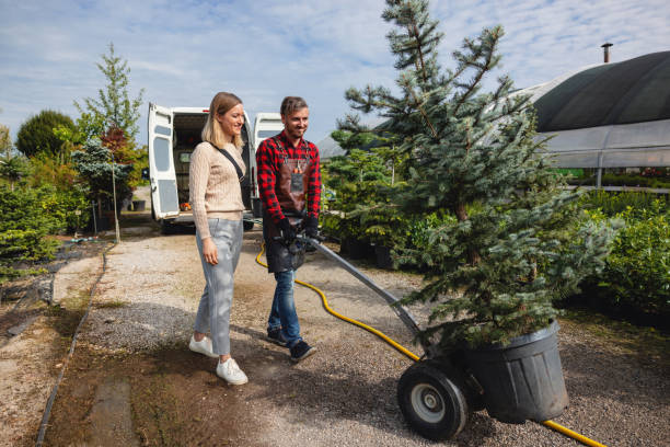 Best Commercial Tree Services  in Sugar City, ID